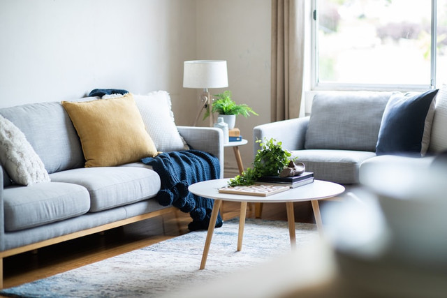 Ilustrasi Cara agar Sofa Tidak Dicakar Kucing. Unsplash/S.Group Official