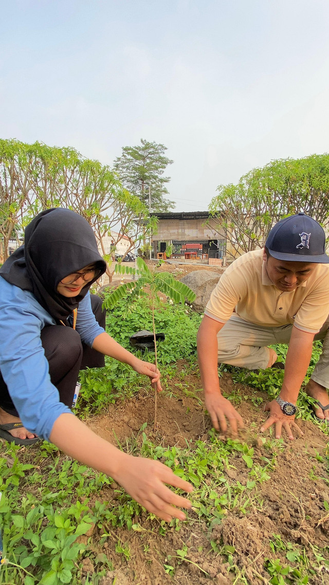 TanPenanaman Pohon bersama Kepala Desa Pohjejer (dokumentasi pribadi)