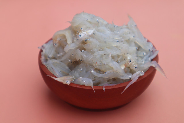 Ilustrasi ikan teri basah. Foto: Evelyn Smj/Shutterstock