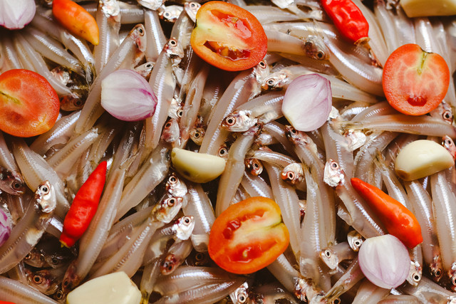 Ilustrasi ikan teri basah. Foto: Borneo Tropical/Shutterstock
