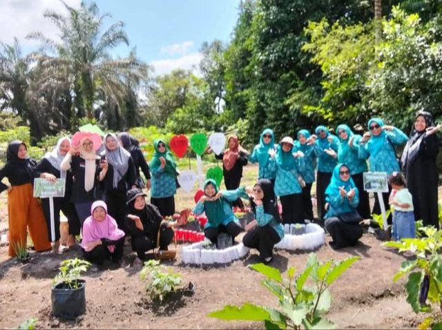 Kebun PKK Desa Selimatan Jaya Kecamatan Kendawangan Kabupaten Ketapang, sumber foto Finda Viorine Papilaya