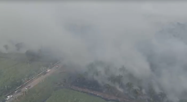 Karhutla di Riau, Rabu (23/7/2025) dok Polda Riau