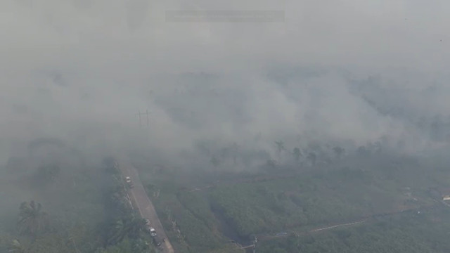 Kabut asap tebal akibat kebakaran hutan dan lahan selimuti wilayah Kabupaten Rokan Hilir, Riau, Rabu (23/7/2025). Foto: Dok. Polda Riau