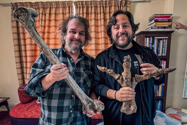 Pembuat film Peter Jackson (kiri) dan CEO Colossal Ben Lamm mengangkat tulang-tulang dari koleksi tulang moa punah milik Jackson di Wellington, Selandia Baru, pada 2024. Foto: Colossal Biosciences via AP