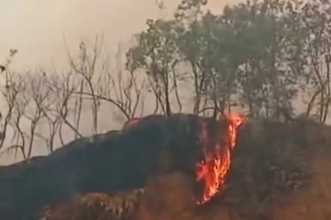 Kebakaran hutan dan lahan (Karhutla) membesar di beberapa titik di wilayah Sumatera Barat. Foto: Instagram/@bpbdprovsumbar  
