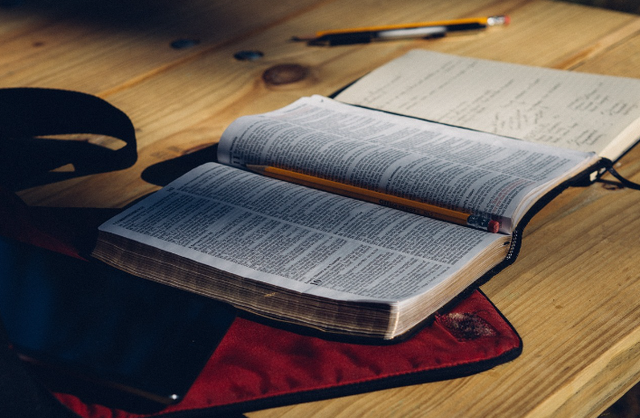 Ilustrasi kunci jawaban Bahasa Inggris kelas 11 halaman 19. Sumber foto: Pixabay/ StockSnap