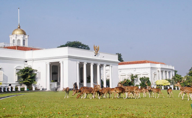 Ilustrasi Istana Bogor Foto: Dok Setneg RI