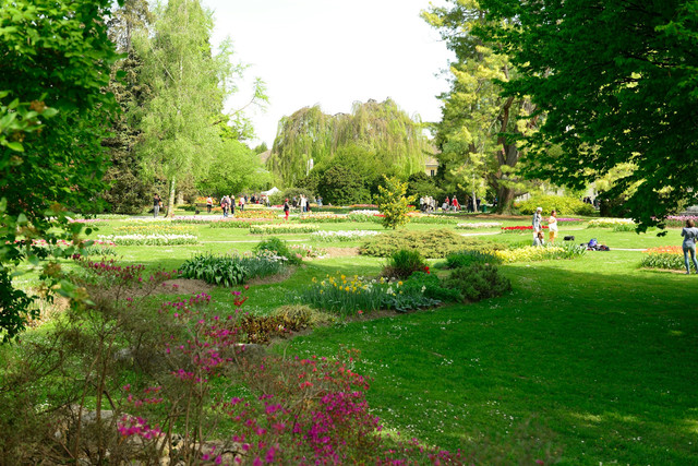 Rute Lari TMII. Foto hanya ilustrasi, bukan tempat sebenarnya. Foto: dok. Unsplash/Alain LAGIER