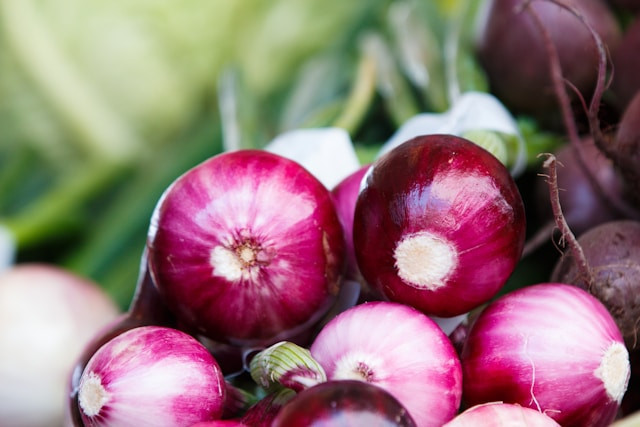 cara menanam bawang merah dimusim hujan, Photo by Thomas Martinsen on Unsplash