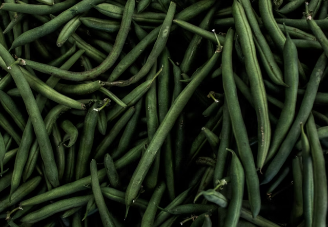 cara menanam buncis di musim hujan. Foto adalah buncis. Sumber: Unsplash/Freddie Collins