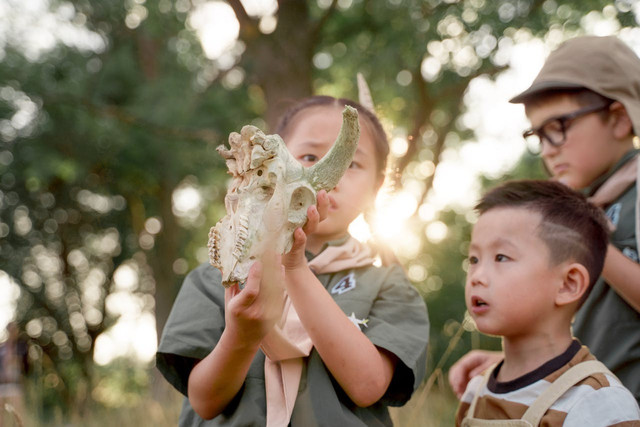 Ilustrasi untuk materi Pramuka Siaga. Sumber: pexels.com/cottonbro studio