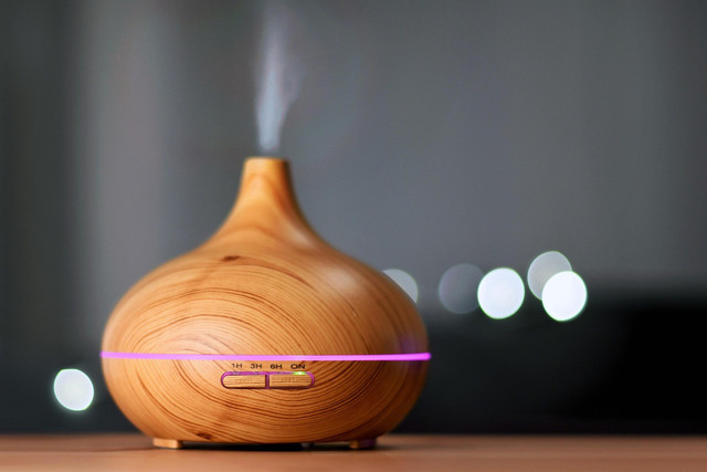 Ilustrasi diffuser yang bagus dan awet. Sumber: Pixabay/Asusmender