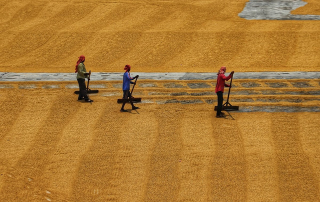 Ilustrasi Cara Main Roblox Grow a Garden   Sumber Unsplash/Dibakar Roy