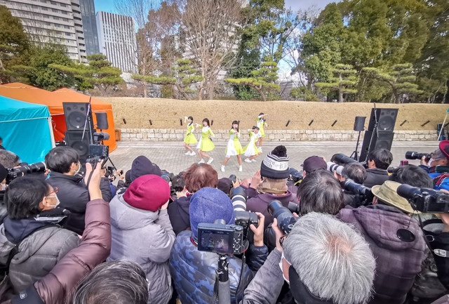 Ilustrasi Profil Haruka     Sumber Unsplash/Senad Palic