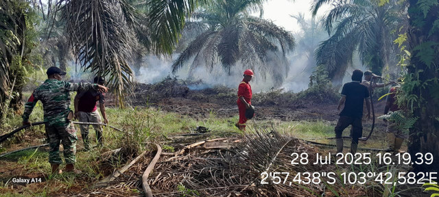 Tim gabungan saat melakukan pemadaman di lahan gambut yang mengalami kebakaran. Foto : Dok BPBD Muba