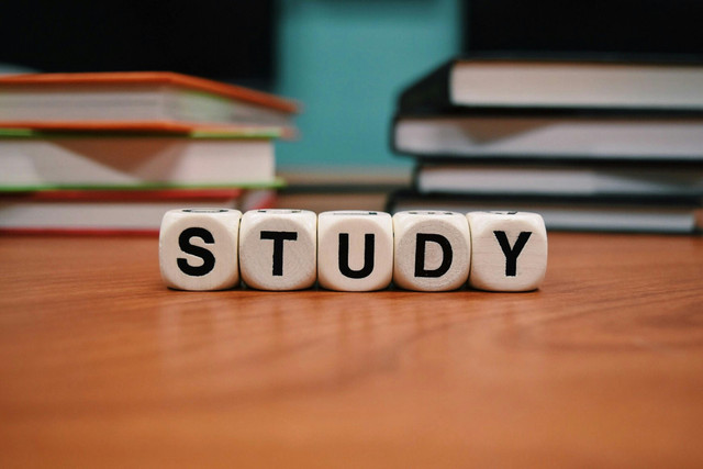 Ilustrasi Soal IPAS Kelas 3 Semester 1 Kurikulum Merdeka. Foto: Pexels/Pixabay