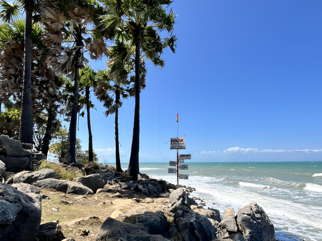 Foto pribadi penulis di kawasan pantai Ponjuk Temor Talango, Madura Timur.