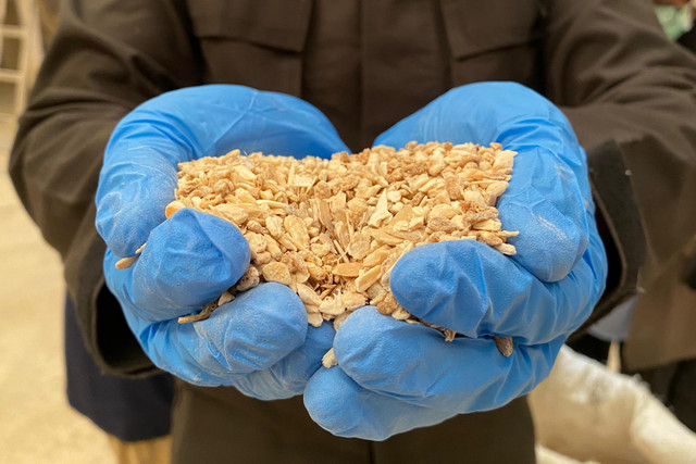 Pemeriksaan produk cattle bone grist yang akan diekspor ke Jepang, Selasa (29/7/2025). Foto: Badan Karantina Indonesia