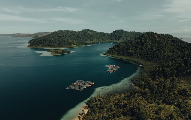 Sumber : unsplash.com