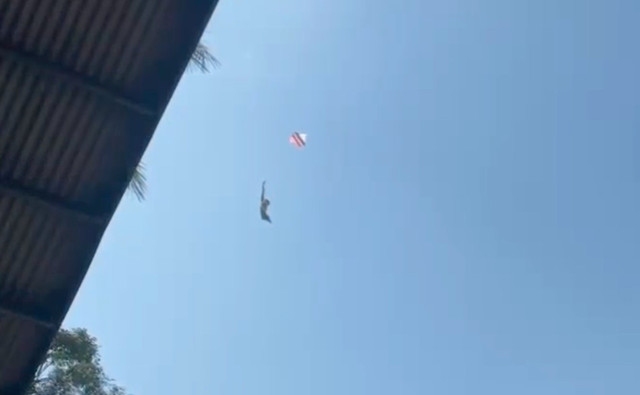 Momen layangan Damkar mendekati burung hantu yang terjerat tali layangan. Dok: Damkar Cianjur