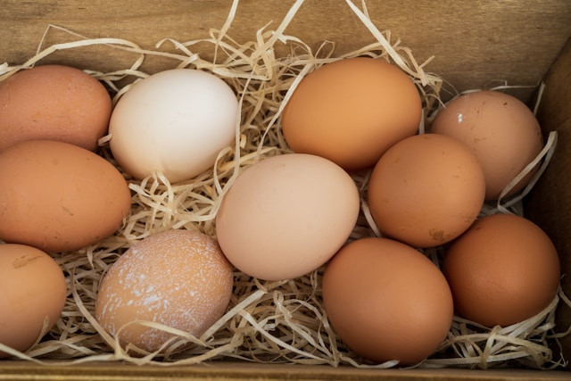 Apakah Nama dari Jenis Telur Ayam yang Berwarna Putih? Foto Hanya Ilustrasi. Sumber Foto: Unsplash.com/Nick Fewings