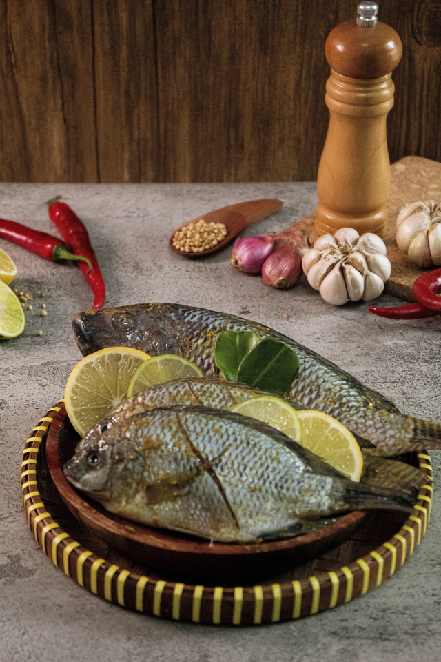 Ilustrasi ikan mujair. Foto: Shutterstock