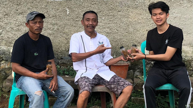 Pemberian bibit JAKABA pada ketua GAPOKTAN Desa Cihamerang 