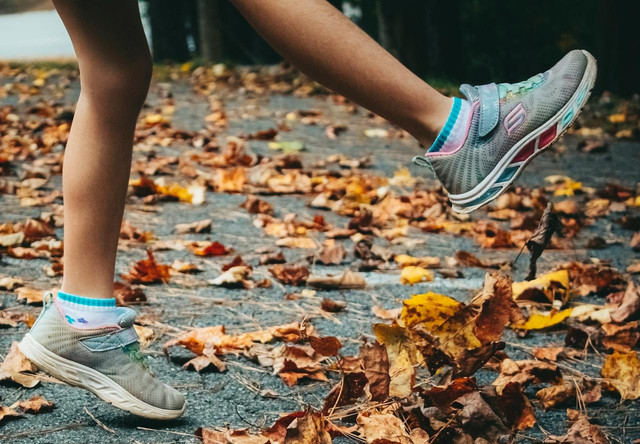Ilustrasi harga sepatu skechers wanita original di Sport Station - Foto Connoer McManus - Pexels 