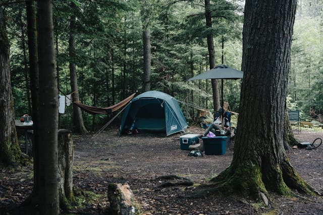Tempat Camping di Bogor. Foto hanya ilustrasi, bukan tempat sebenarnya. Sumber: Pexels/Aperture