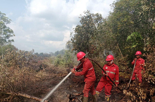 Tim Manggala Agni saat memadakan karhutla di Sungai rotan, Muara Enim. Foto : Dok. Manggala Agni