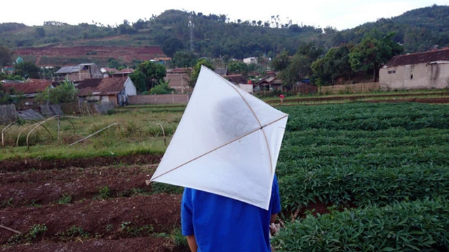 Ilustrasi bermain layangan.