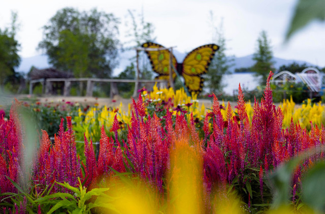 Perbedaan tiket reguler dan terusan Santerra de Laponte. Foto hanya ilustrasi, bukan tempat sebenarnya. Sumber: Unplash/Raffika