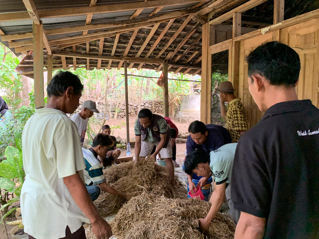 Proses pembuatan silase dan fermentasi di Padukuhan Dlingo 1, Dusun Dlingo, Kab. Bantul, Daerah Istimewa Yogyakarta. Sosialisasi ini dilaksanakan pada Minggu (03/08/2025). (doc. KKN-PPM 04 UMBY)