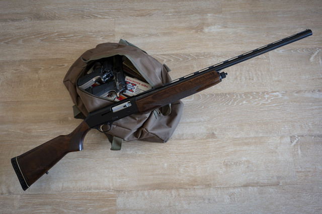 Ilustrasi Shotgun. Foto: adolf martinez soler/Shutterstock