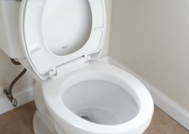 Ilustrasi pembersih wc paling ampuh. Sumber: Unsplash/Giorgio Trovato