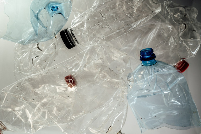Ilustrasi Bagaimana Cara Membuat Taman Mini dari Botol Bekas, Sumber Unsplash Teslariu Mihai