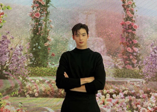 Ilustrasi Acara TV Cha Eun-woo, Foto: Instagram/@eunwo.o_c