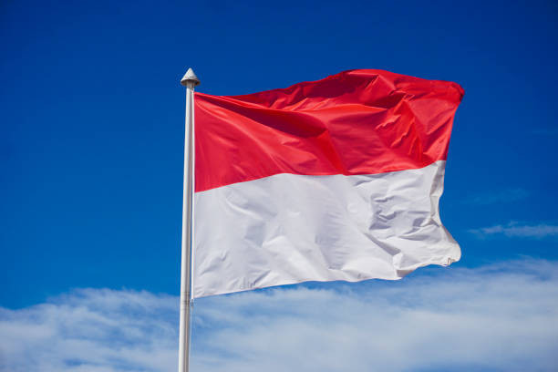 Ilustrasi Cara Pemilihan Pembawa Baki Paskibraka Nasional, Foto: Unsplash/GoodLifeStudio.