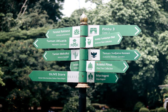 Kebun Raya Bogor Buka Jam Berapa 2025. Foto Kebun Raya Bogor. Sumber: Pexels/Febrivsl