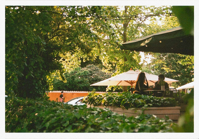 Taman Seribu Lampu Cepu. Foto Hanya Ilustrasi, Bukan Sebenarnya. Sumber Unsplash Louise Pilgaard