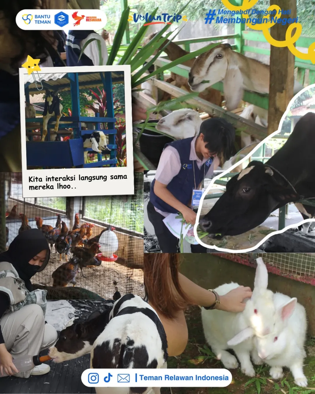 Potret para peserta berinteraksi dengan hewan yang ada disana. Pict by: Instagram @temanrelawanid