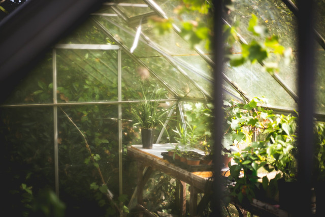 Tiket Masuk Orchid Forest Cikole. Foto hanya sebagai ilustrasi, bukan tempat maupun gambar sebenarnya. SUmber foto: Unsplash-Thomas Verbruggen