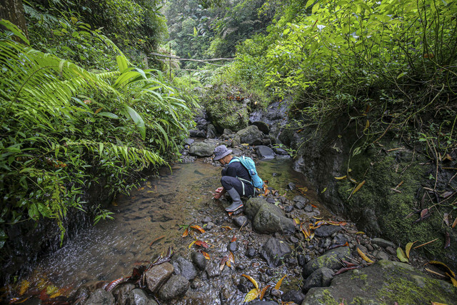 Sungai di hutan Gunung Muria. Foto: Aditia Noviansyah/kumparan
