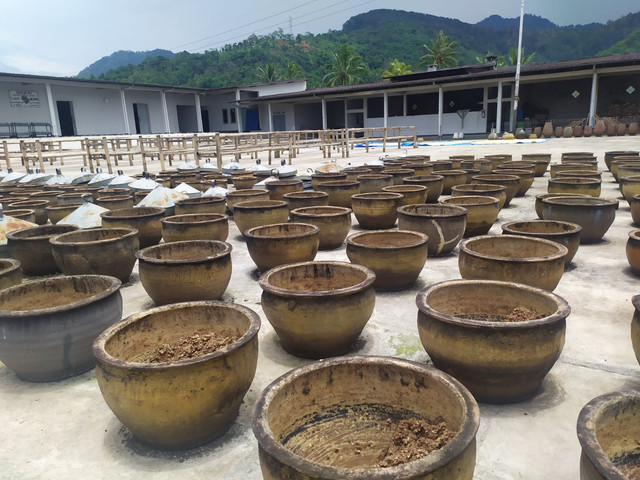 Gambar 1: Tauco tradisional dalam wadah dengan pencahayaan alami. Sumber foto: Parlan, 2025