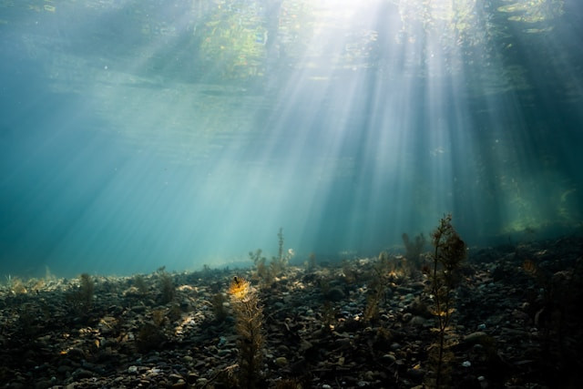 Ilustrasi ciri-ciri abiotik sungai.Foto: Victor Oonk / Unsplash
