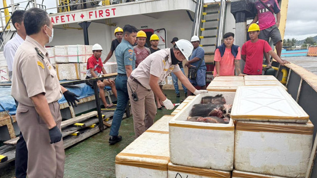 Petugas Karantina Sulawesi Utara saat menemukan daging celeng tanpa dokumen di atas kapal di Pelabuhan Samudera Bitung. (foto: istimewa)