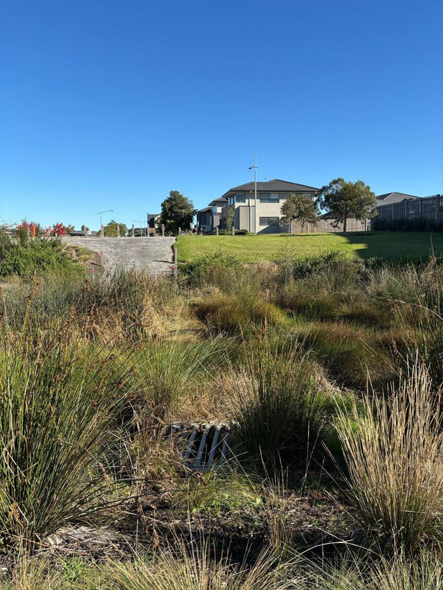 Daerah Resapan di Perumahan. Foto : Dokumentasi Pribadi 