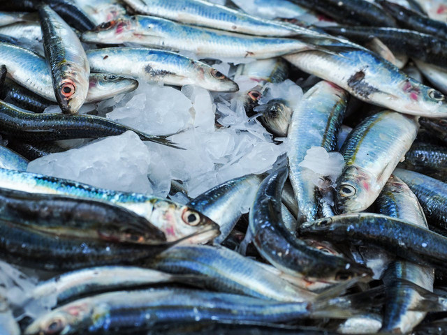 Ilustrasi ikan yang bagus untuk MPASI. Foto: Pexels