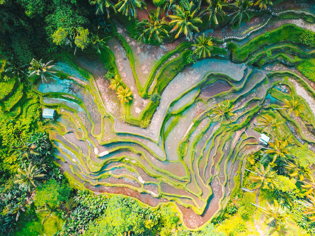 Ilustrasi Jabarkan Dampak Positif dari Letak Geologis Indonesia, Sumber Unsplash Jason Cooper