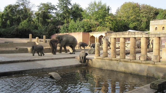17 Agustus Ragunan Buka atau Tutup. Foto hanya ilustrasi bukan tempat sebenarnya. Sumber foto: Pixabay.